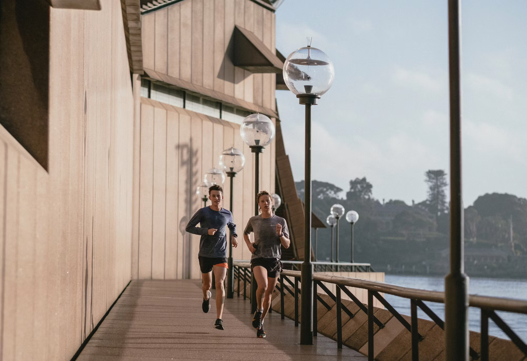 Harnessing the Power of Exercise: A Journey to Wellness
